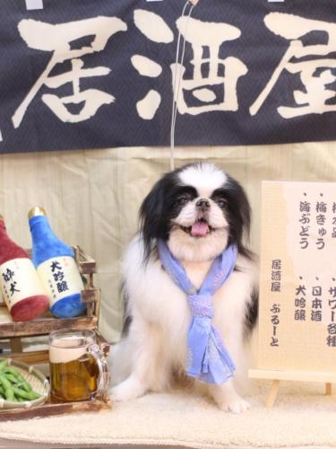 20240604小太郎くん